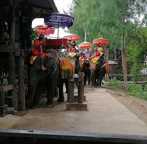 Puengluang ดำเนินสะดวก